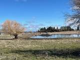 431 Whitetail Dr - Photo 11