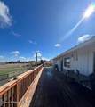 431 Whitetail Dr - Photo 49