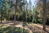 14558 Saddle Ridge Rd - Photo 65