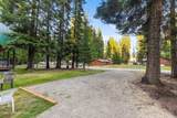 52 White Fir Ln - Photo 37