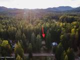 52 White Fir Ln - Photo 52