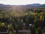 52 White Fir Ln - Photo 53