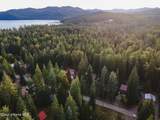 52 White Fir Ln - Photo 55