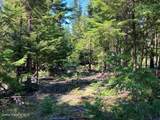 NNA Toad Road  ( 5Acres) - Photo 10