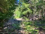 NNA Toad Road  ( 5Acres) - Photo 4