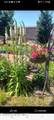 51707 Silver Valley Rd - Photo 16