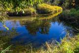53876 Hwy 200 - Photo 59