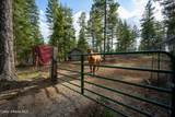 35694 St Joe Dr - Photo 62