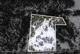 429 Barnhart Rd - Photo 48