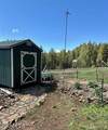 23003 Deer Creek Rd - Photo 38