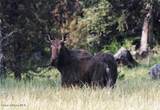 23003 Deer Creek Rd - Photo 41