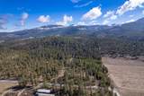 5341 Hoo Doo Lp Rd - Photo 48