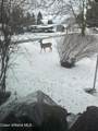 741 Kentucky Ave - Photo 33