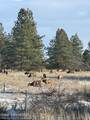 25021 San Carlos Rd - Photo 40
