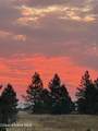 25021 San Carlos Rd - Photo 41
