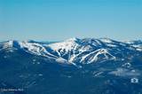 301 Iberian Wy - Photo 40