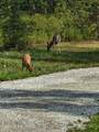 488988 Hwy 95 - Photo 47