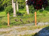 488988 Hwy 95 - Photo 48
