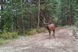 14105 Marie Creek Rd - Photo 36
