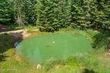 14105 Marie Creek Rd - Photo 43