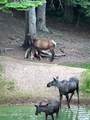 14105 Marie Creek Rd - Photo 45