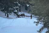 14105 Marie Creek Rd - Photo 61