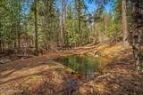 12515 Baldy Mountain Rd - Photo 74