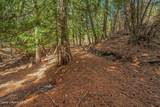 12515 Baldy Mountain Rd - Photo 77