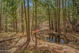 12515 Baldy Mountain Rd - Photo 78