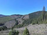 25777 Latour Creek Rd - Photo 2