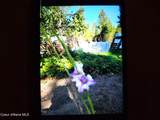 9 Charleston Ln - Photo 32