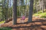 2264 Parker Canyon Rd - Photo 41