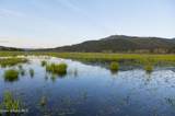 26175 State Hwy 3 - Photo 14
