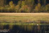 26175 State Hwy 3 - Photo 24