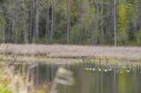 26175 State Hwy 3 - Photo 25