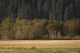 26175 State Hwy 3 - Photo 28