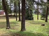 17762 Nolan Dr - Photo 10