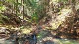 19856 B St Joe River Rd - Photo 12