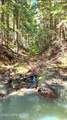19856 B St Joe River Rd - Photo 74