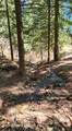 19856 B St Joe River Rd - Photo 75