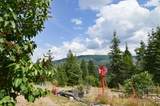 nna Blake Creek Rd - Photo 23