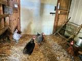 657 Bear Claw Rd - Photo 39