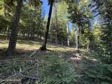 Lot 3 Moose Mountain Lane - Photo 12