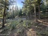 Lot 3 Moose Mountain Lane - Photo 15