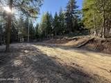 Lot 3 Moose Mountain Lane - Photo 4
