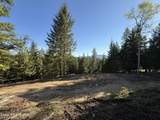Lot 3 Moose Mountain Lane - Photo 8