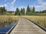 215 White Cloud Dr - Photo 45
