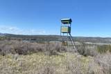 31795 Hume Rd - Photo 76