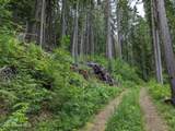 14068 Spirit Lake Shr - Photo 27