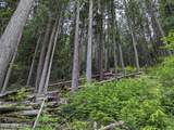 14068 Spirit Lake Shr - Photo 29